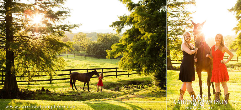 St. Annes Belfield Senior Equine Photographer