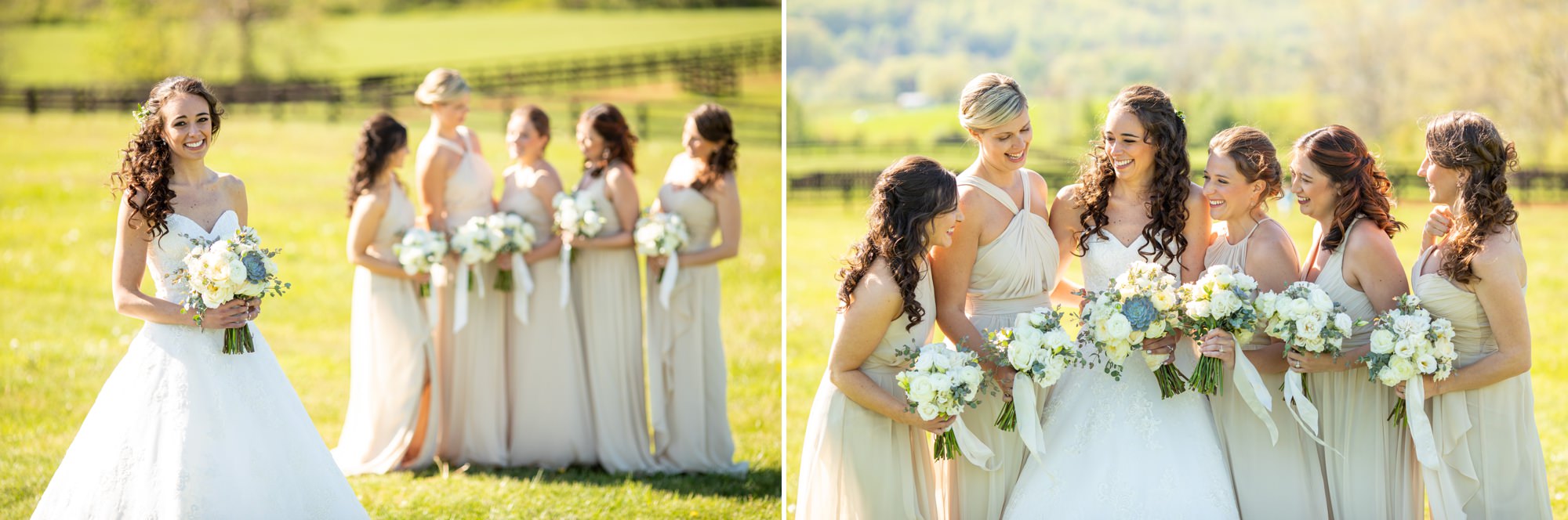 Summer Charlottesville Virginia Wedding Photographer