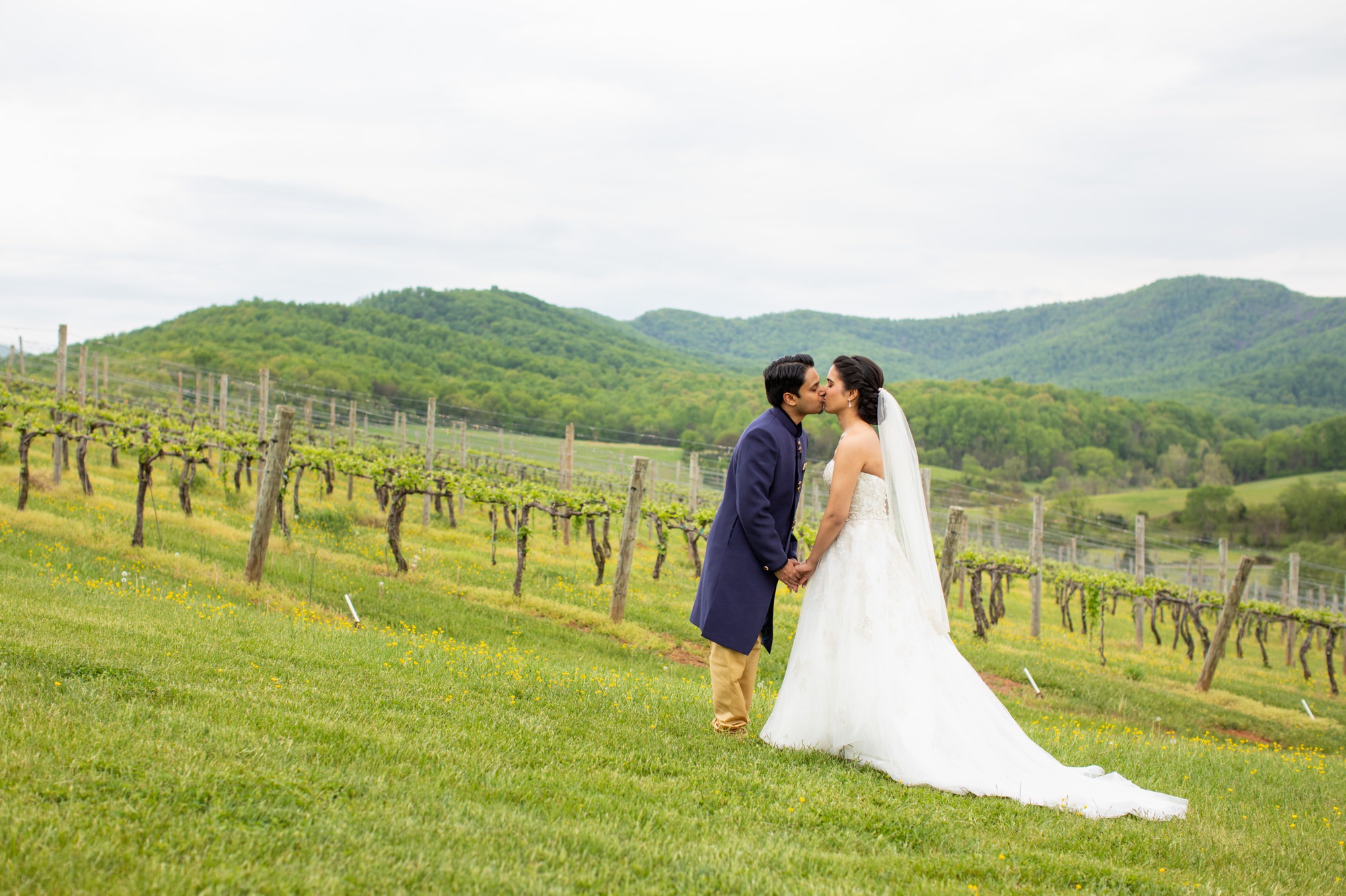 Best Pippin Hill Farm and Vineyards Wedding Photographers