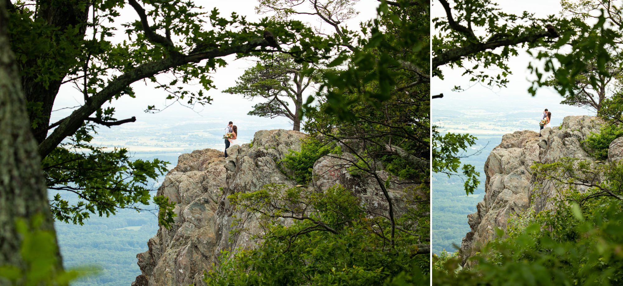 Best Charlottesville Elopements Photographers