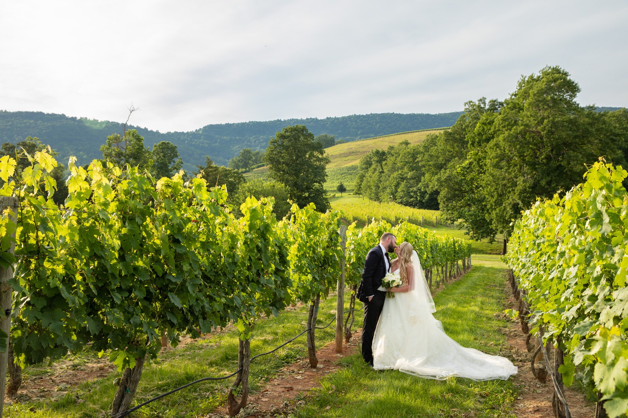 Charlottesville Virginia Vineyard Wedding Photographers