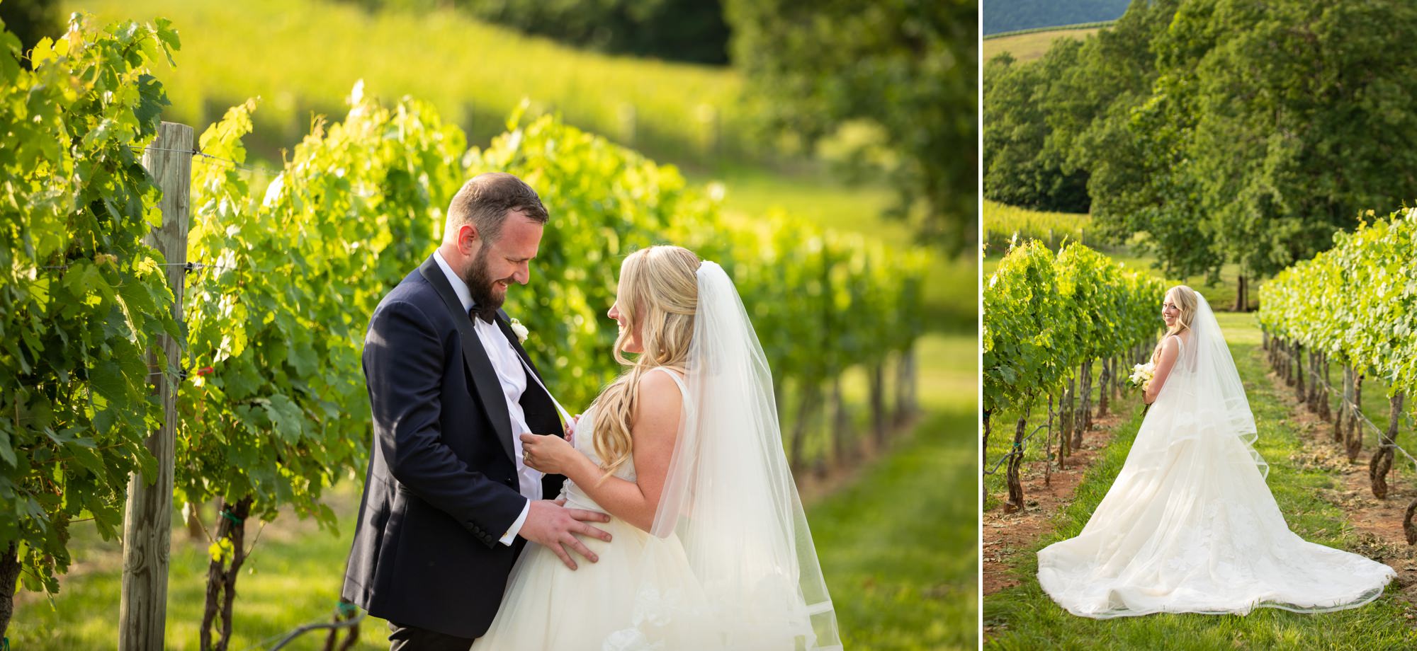 Veritas Winery and Vineyard Weddings
