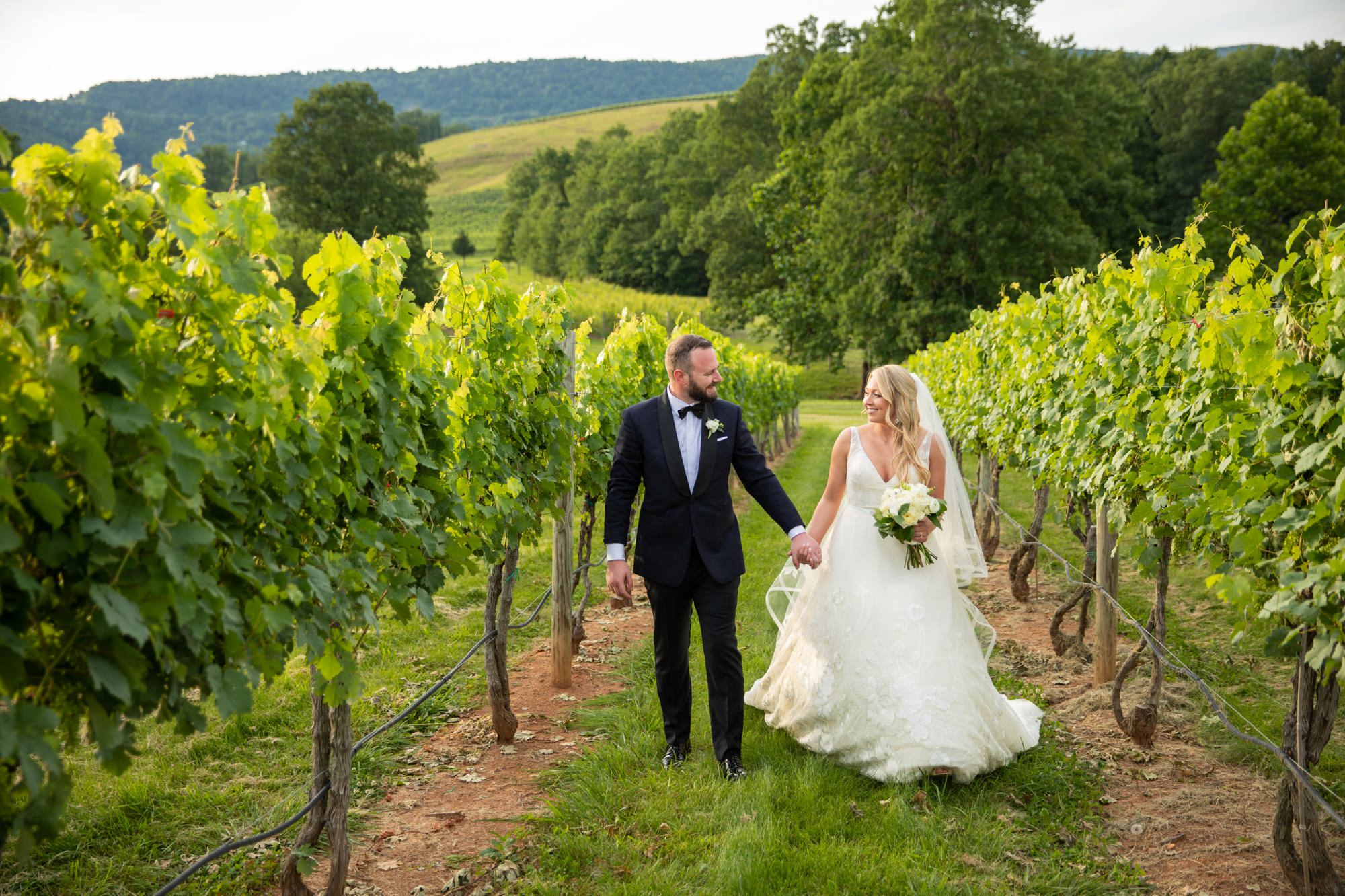 Charlottesville Vineyard Wedding Venues