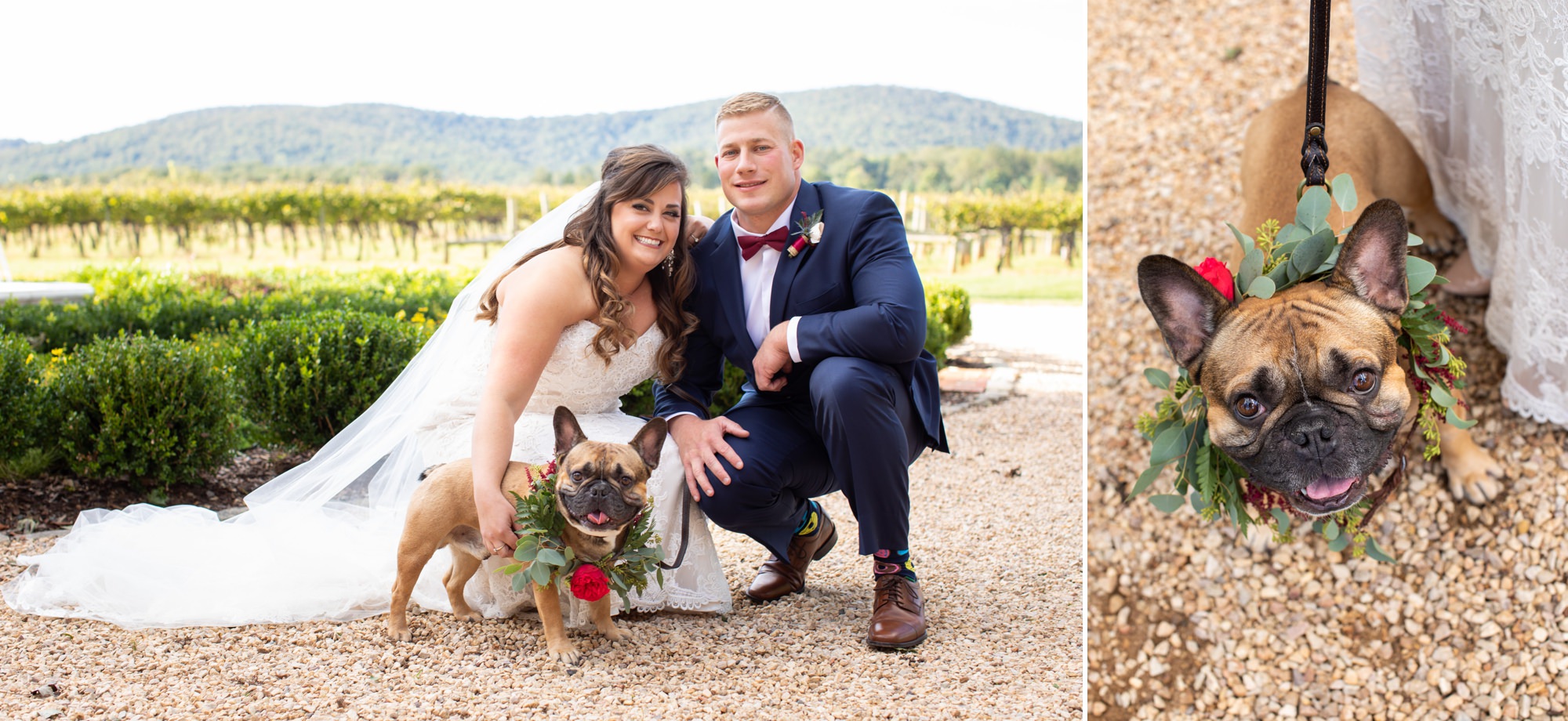 Wedding Dog Inspiration