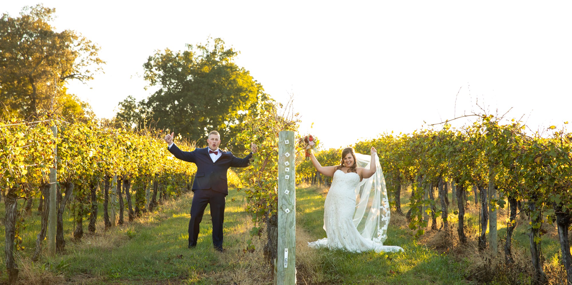 Top Keswick Vineyards Wedding Photographers