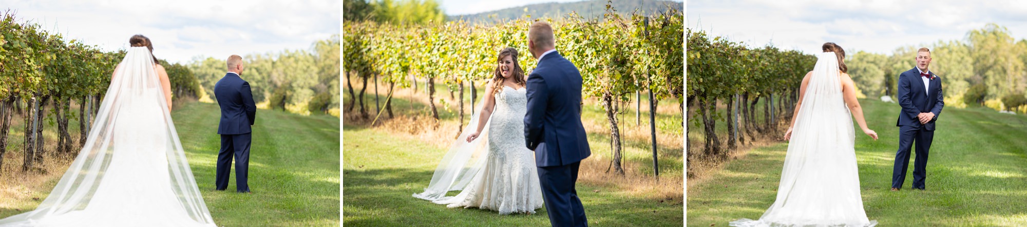 Vineyard Wedding Photographers Virginia