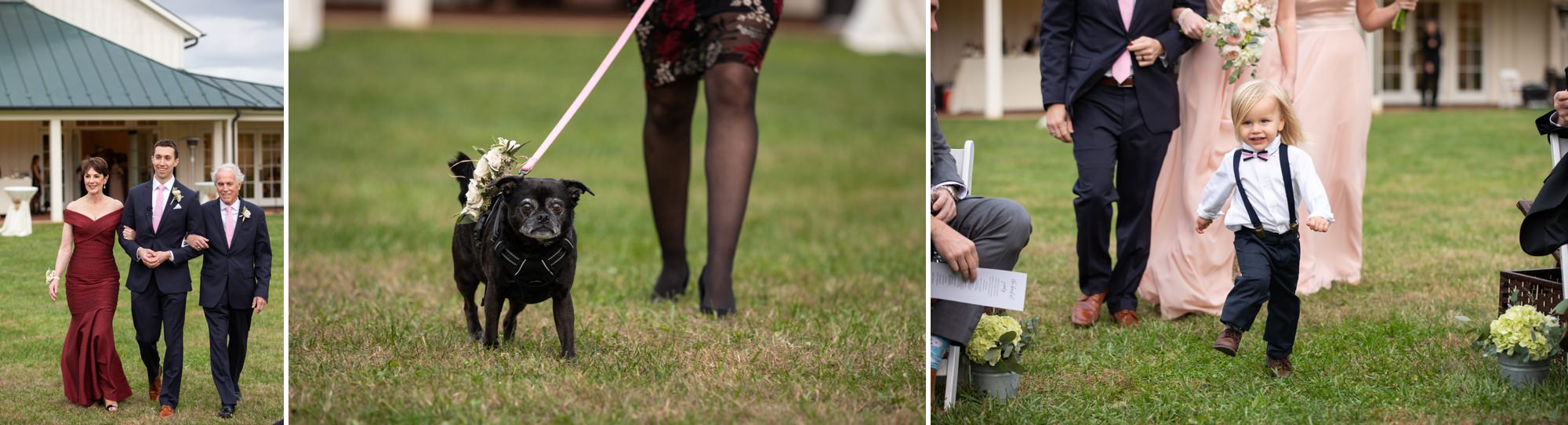 Dogs in Wedding Ceremonies