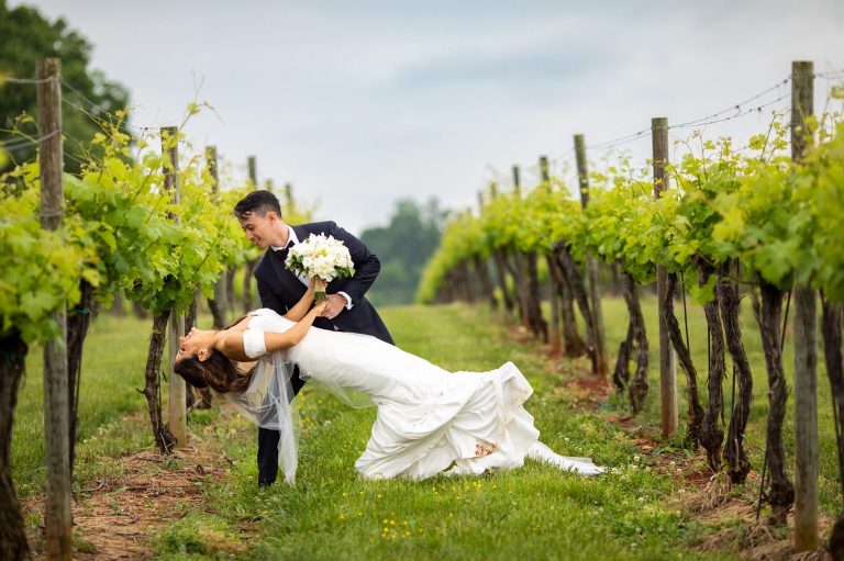 Scenic Wedding Vineyard Photographers