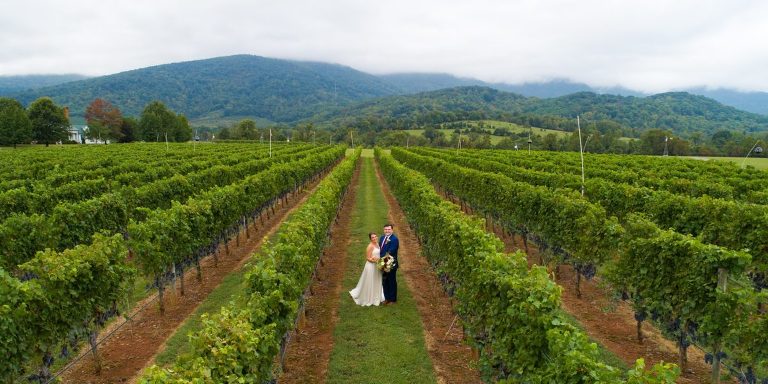 Vineyard Wedding Photographers Charlottesville Virginia