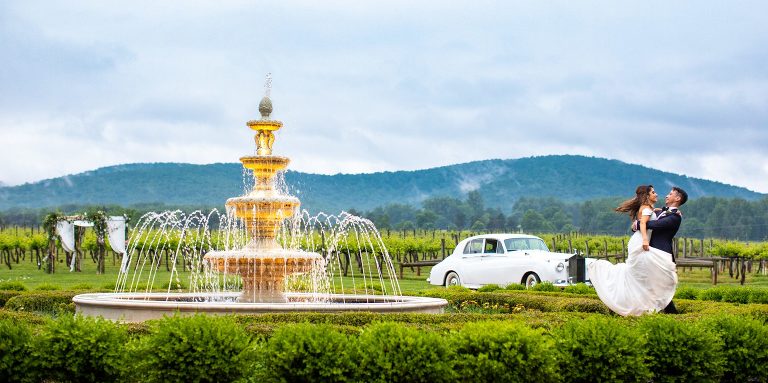 Keswick Vineyards Wedding Photographer