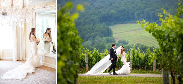 Vineyard Wedding Photography