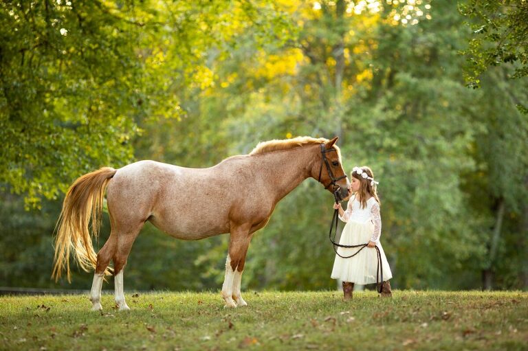 Equestrian portrait photographer