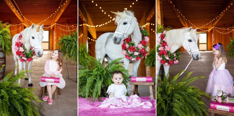 Charlottesville Family Photographers Unicorn Mini Sessions