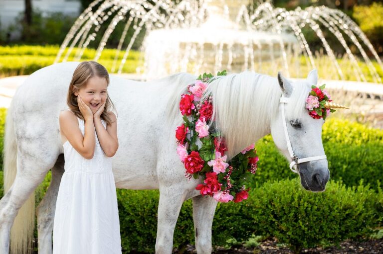 Charlottesville Family Photographer Unicorn Mini Sessions