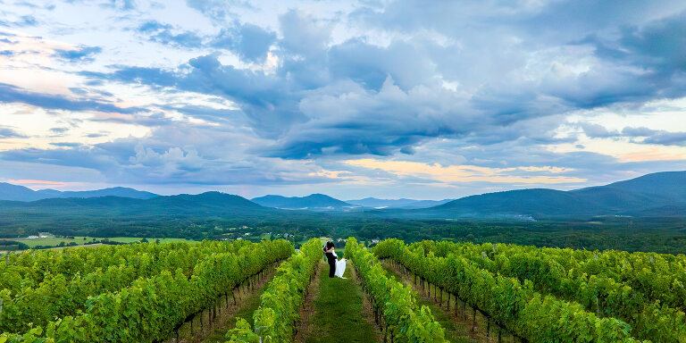 Best Charlottesville wedding vendors blue ridge mountain view