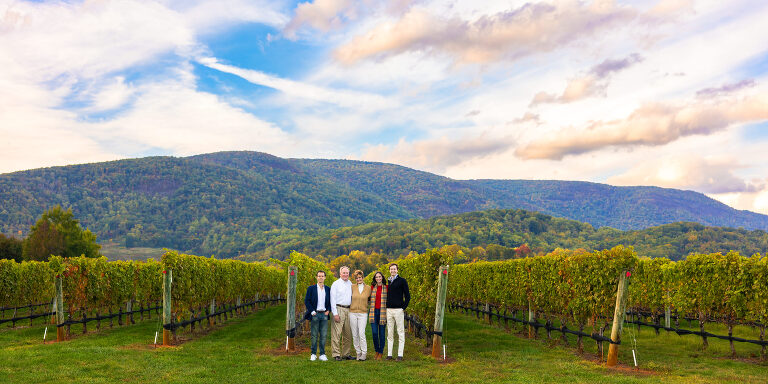 Best Family Portrait Photographers blue ridge mountains ideas