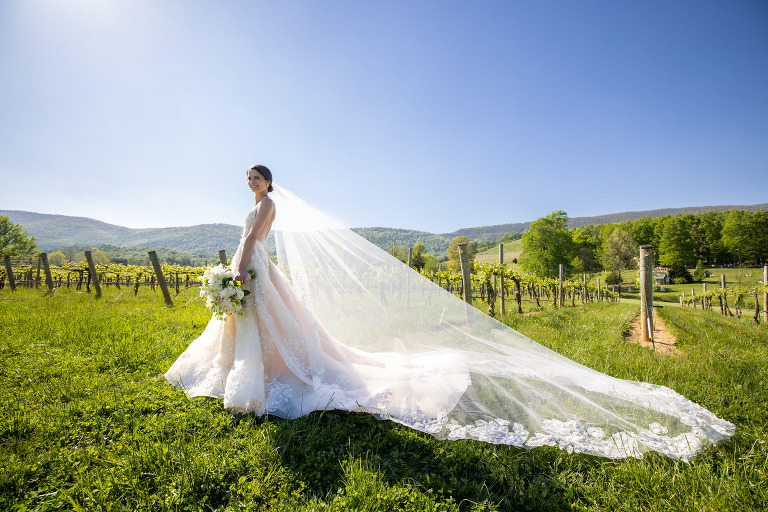 Veritas Vineyard bridal photo ideas