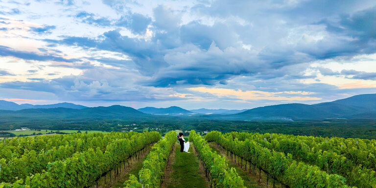 Veritas Vineyards and Winery aerial drone shot