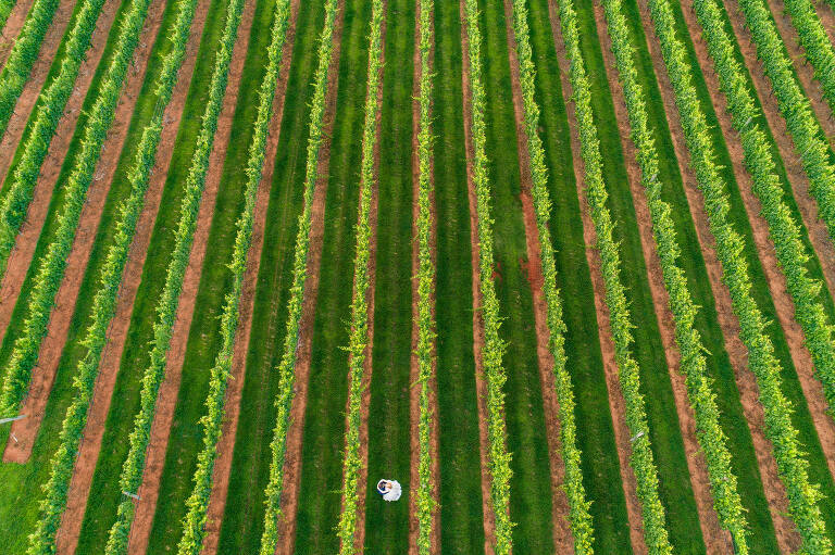 vineyard wedding aerial photography