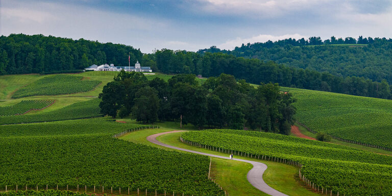 aerial wedding photography trump winery