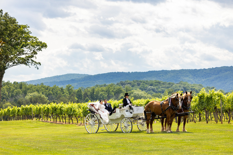 Keswick Vineyards horse and carriage processional photo idea